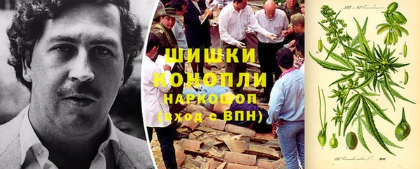 прущая мука Нея