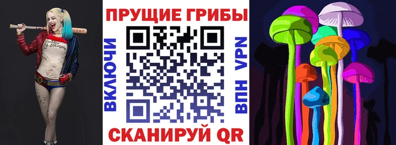 kraken ссылки Правдинск Галлюциногенные грибы Psilocybe магазин продажи наркотиков